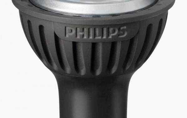 Sed blandit massa vel