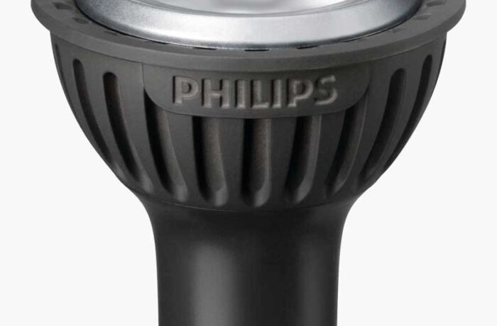 Sed blandit massa vel